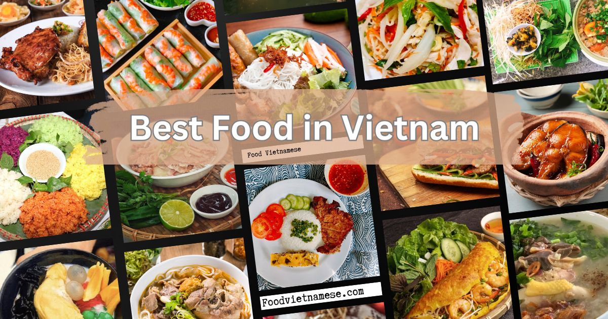 Best Food in Vietnam
