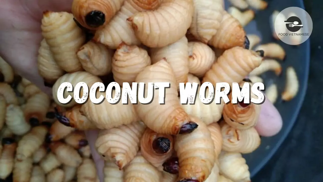 Coconut Worms