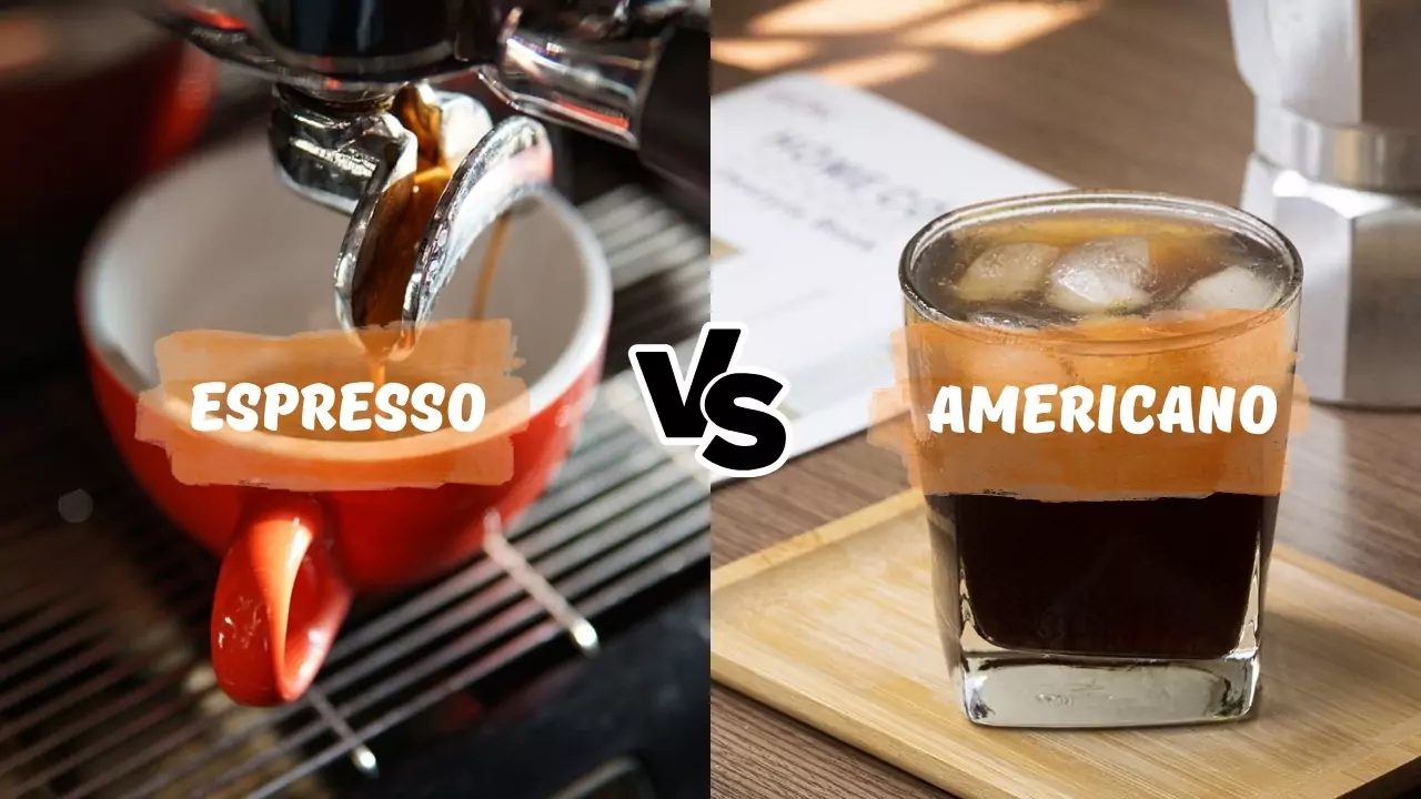 Difference Between Espresso and Americano