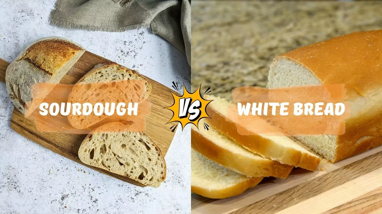 Is Sourdough better than White Bread