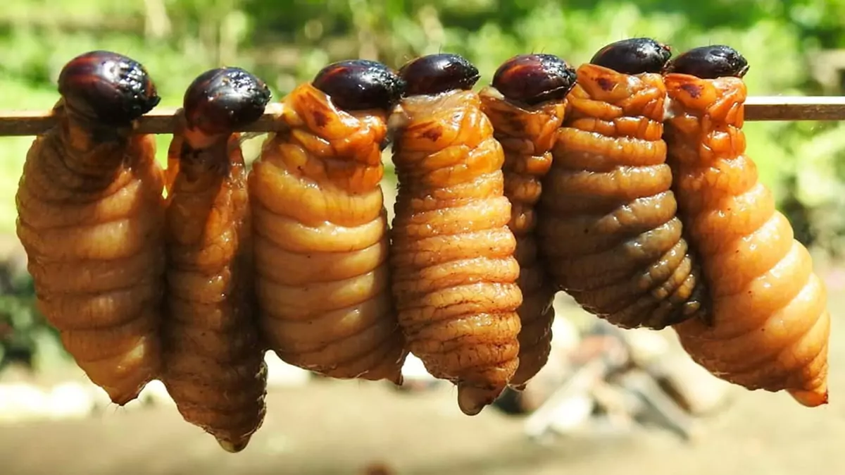 Grilled Coconut Worms