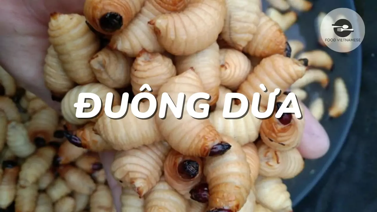 duong dua vietnam